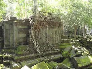 Park Village Nocleg ze śniadaniem Siem Reap